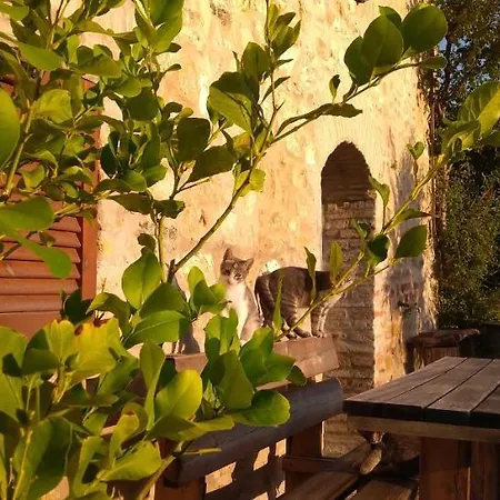 Mio Piccolo Castello *