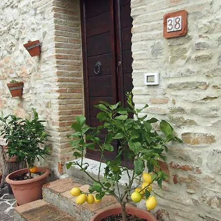 Mio Piccolo Castello Dom wakacyjny Avacelli